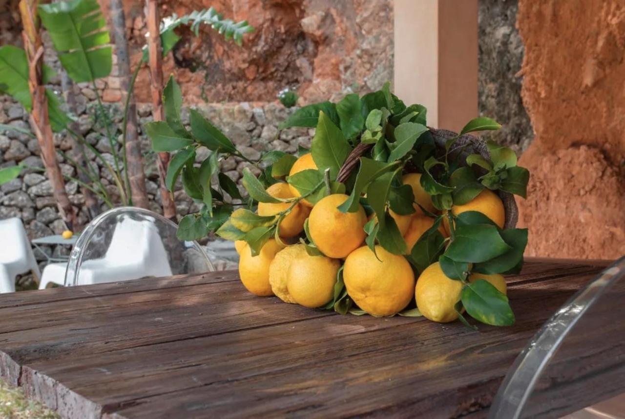 Can Gari Soller Bagian luar foto